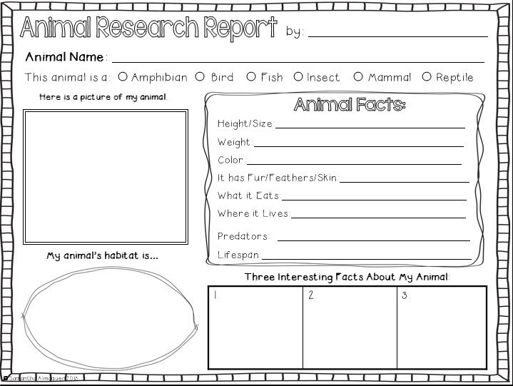 Animal Report Template 4th Grade - KibrisPDR