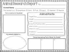 Detail Animal Report Template 4th Grade Nomer 13