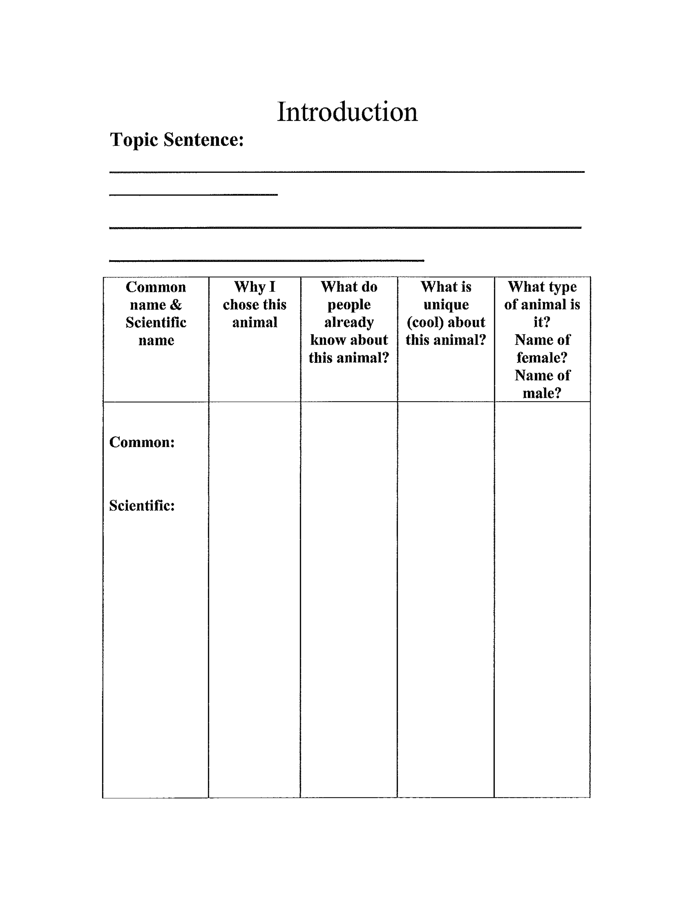 Detail Animal Report Template 4th Grade Nomer 21