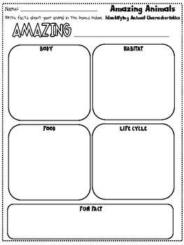 Detail Animal Report Template 4th Grade Nomer 23