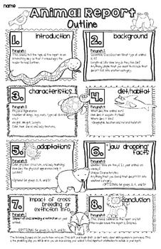 Detail Animal Report Template 4th Grade Nomer 37