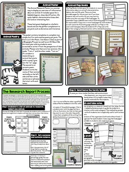 Detail Animal Report Template 4th Grade Nomer 43