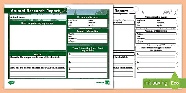 Detail Animal Report Template 4th Grade Nomer 7