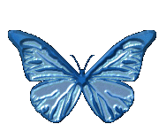 Detail Animasi Butterfly Bergerak Nomer 7