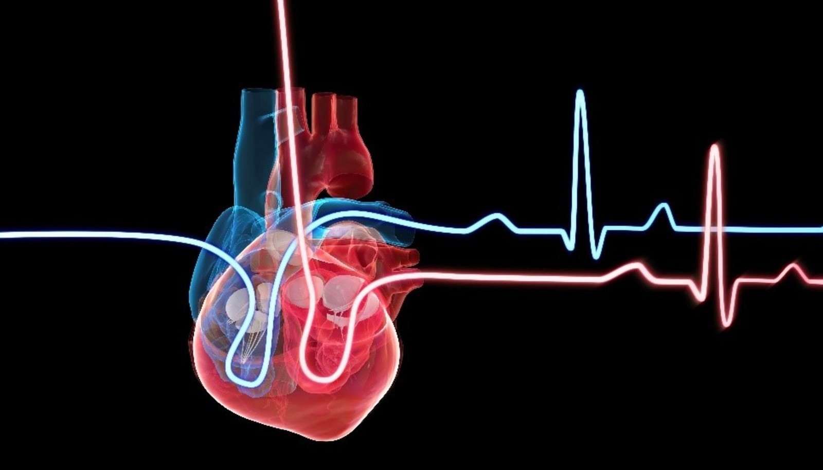 Detail Animasi Jantung Bergerak Untuk Powerpoint Nomer 38