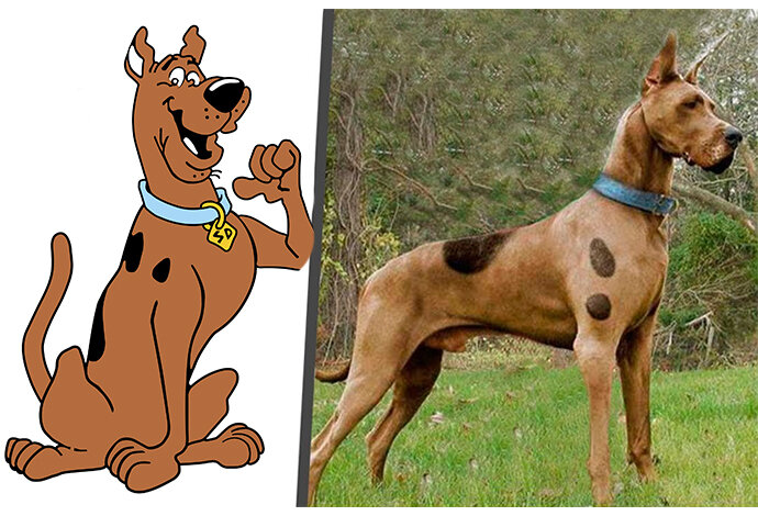 Detail Anjing Scooby Doo Jenis Apa Nomer 3