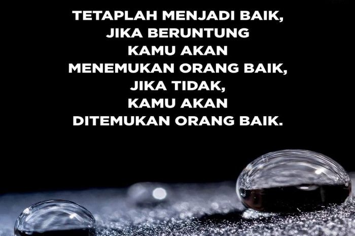 Detail Apa Arti Dari Quotes Nomer 23