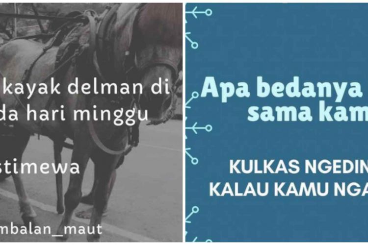 Detail Apa Bedanya Kamu Sama Buku Nomer 17