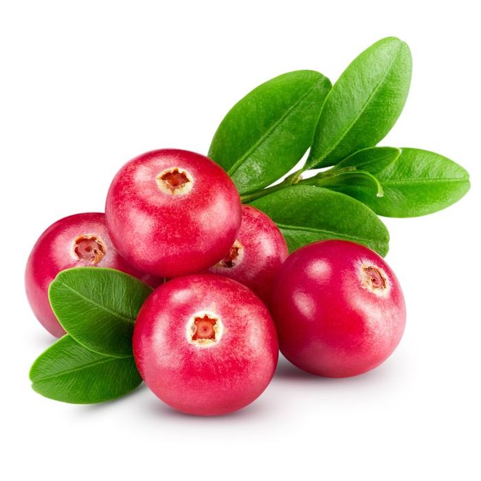 Apa Itu Buah Cranberry - KibrisPDR