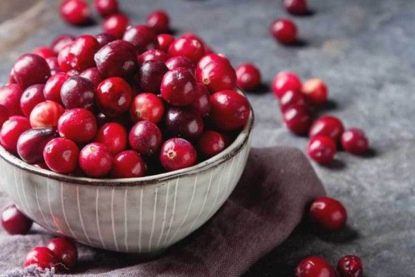 Detail Apa Itu Buah Cranberry Nomer 15