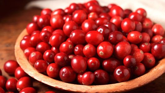 Detail Apa Itu Buah Cranberry Nomer 37