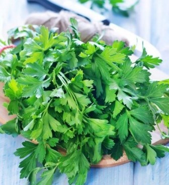 Detail Apa Itu Daun Parsley Nomer 10