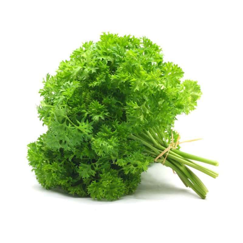 Detail Apa Itu Daun Parsley Nomer 21