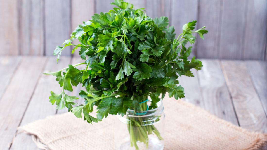 Detail Apa Itu Daun Parsley Nomer 42