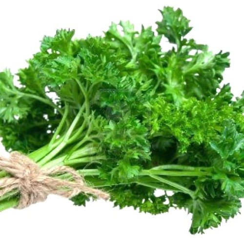 Detail Apa Itu Daun Parsley Nomer 9