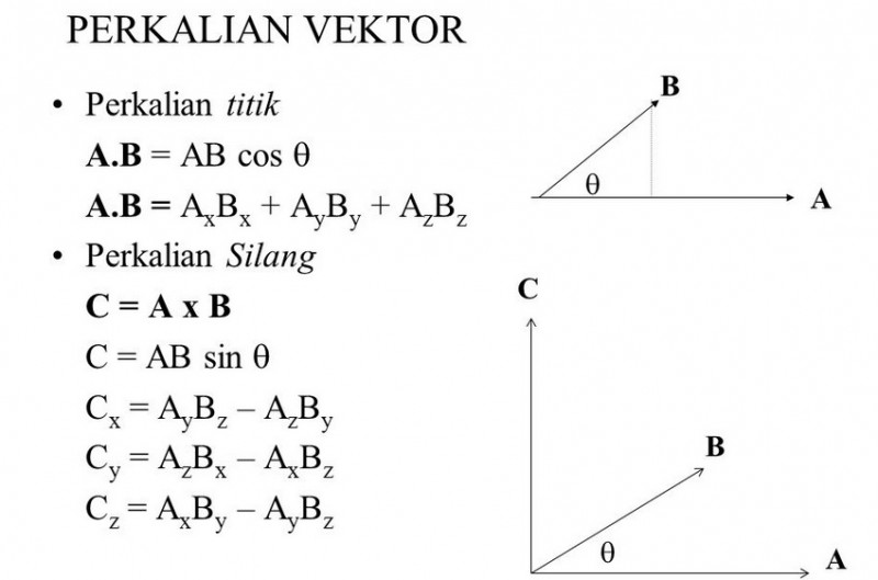 Detail Apa Itu Gambar Vektor Nomer 12