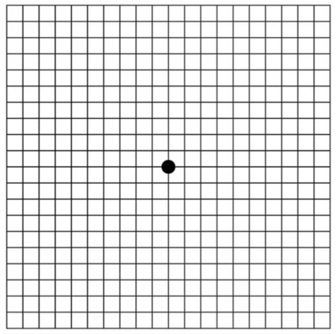 Apa Itu Grid Map - IMAGESEE