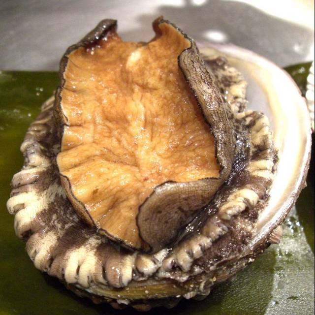 Detail Apa Itu Makanan Abalone Nomer 23