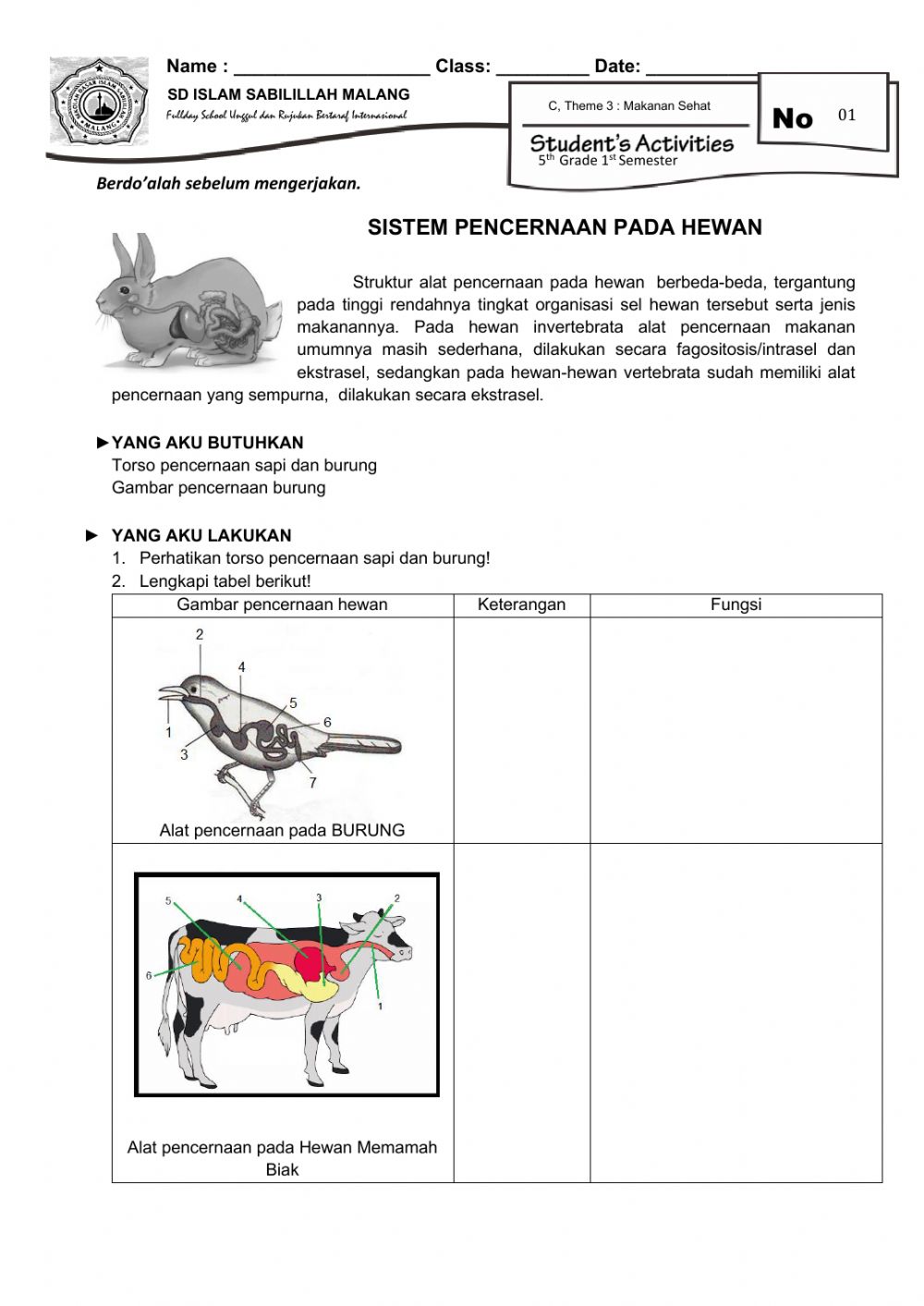 Detail Apa Itu Memamah Biak Nomer 38