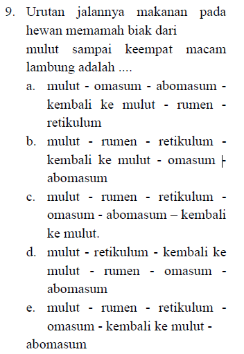 Detail Apa Itu Memamah Biak Nomer 45