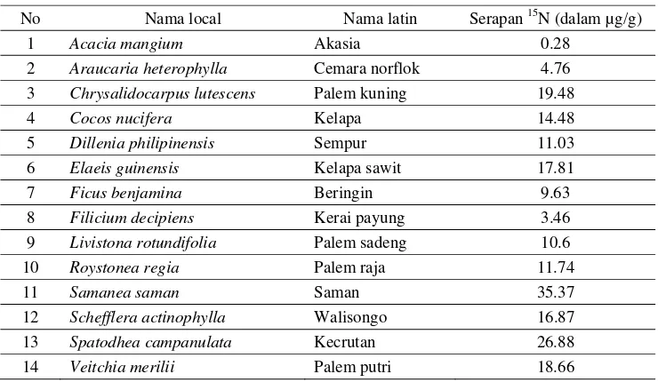 Detail Apa Itu Pohon Filicium Decipiens Gambar Palem Segitiga Nomer 19