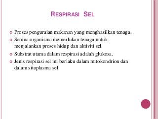 Apa Itu Respirasi Sel - KibrisPDR