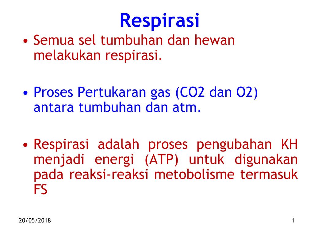 Detail Apa Itu Respirasi Sel Nomer 24