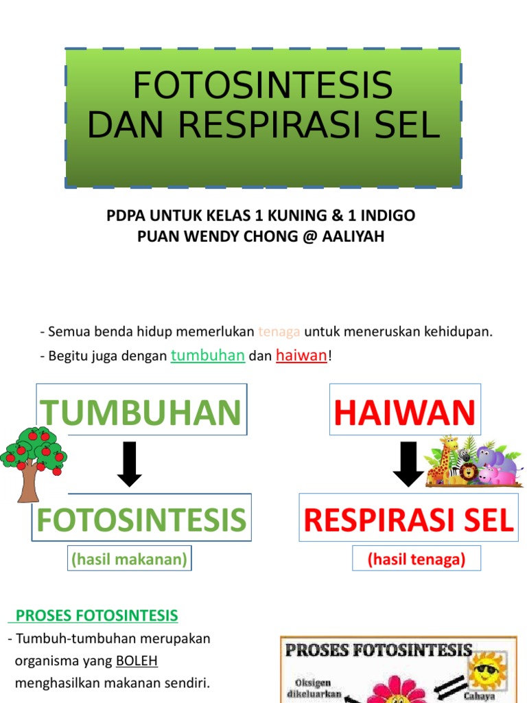 Detail Apa Itu Respirasi Sel Koleksi Nomer 32