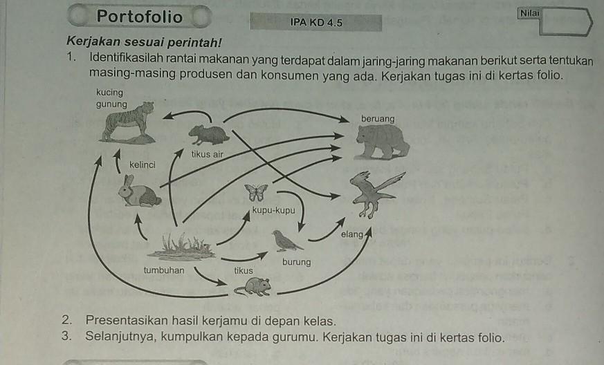 Detail Apa Makanan Kupu Kupu Nomer 55