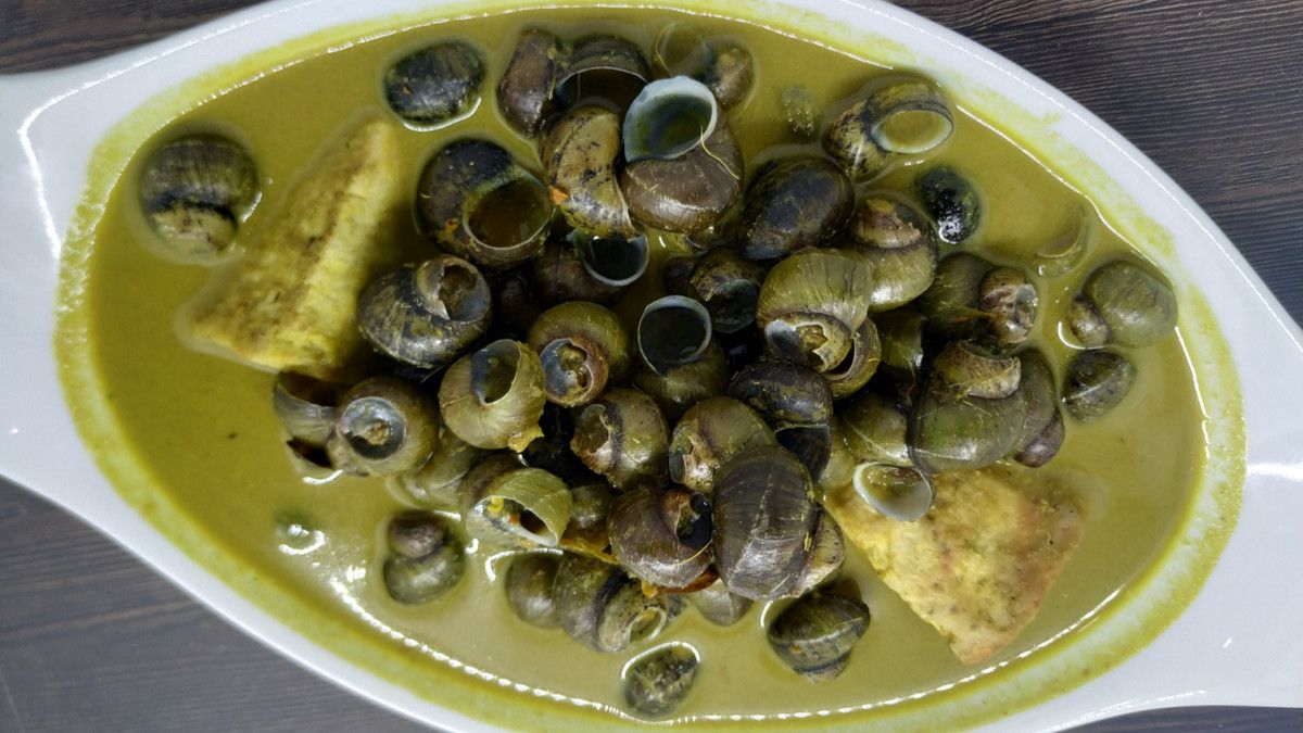 Detail Apa Makanan Siput Nomer 26