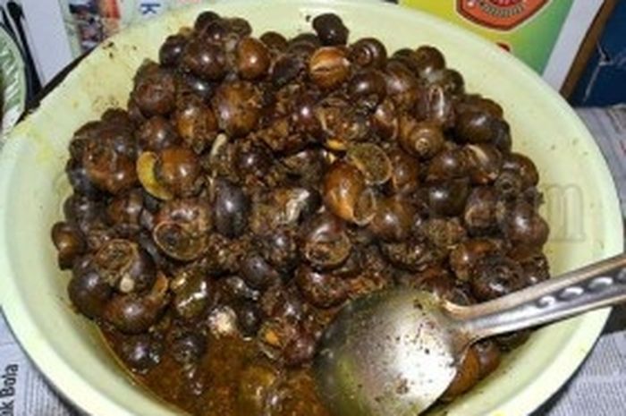 Detail Apa Makanan Siput Nomer 27