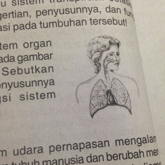 Detail Apa Nama Sistem Organ Yang Terdapat Pada Gambar Di Samping Nomer 2