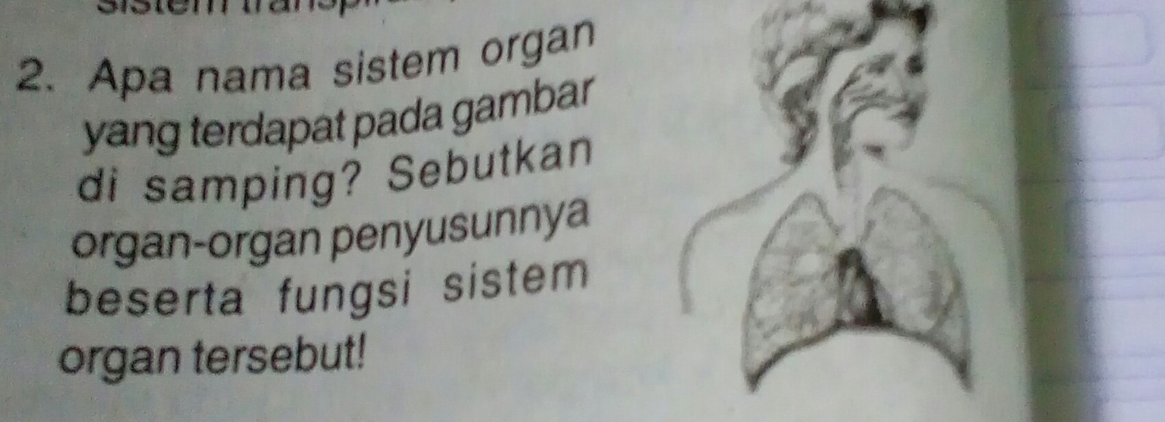 Detail Apa Nama Sistem Organ Yang Terdapat Pada Gambar Di Samping Nomer 3