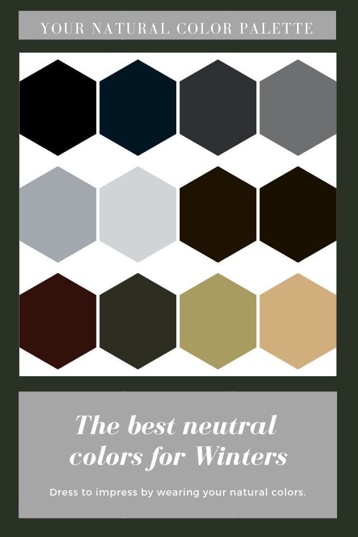 Detail Apa Saja Warna Netral Nomer 12