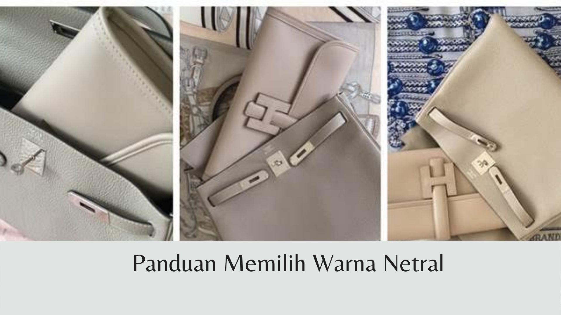 Detail Apa Saja Warna Netral Nomer 29