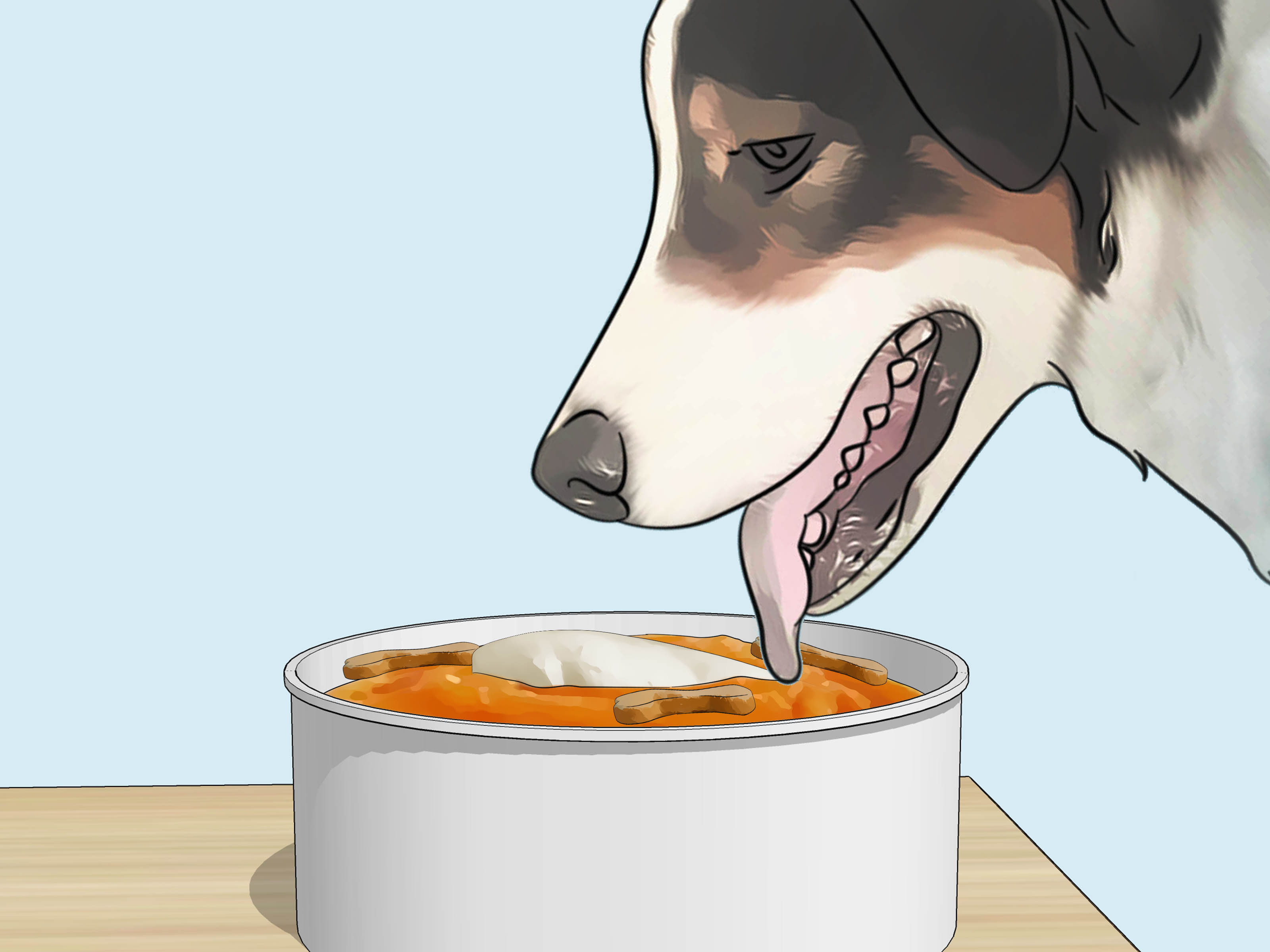 Detail Apakah Anjing Boleh Makan Keju Nomer 27