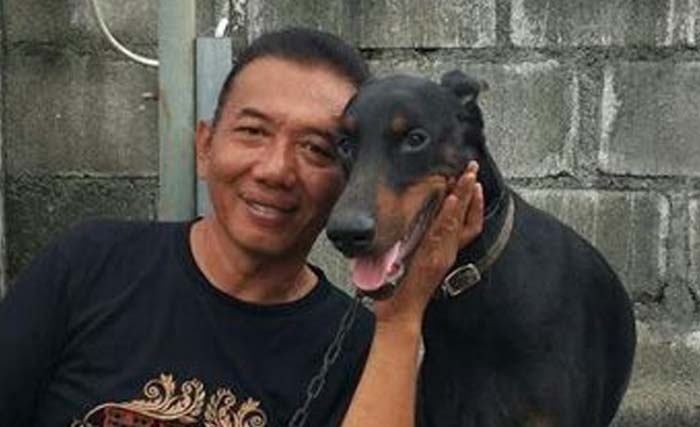 Detail Apakah Anjing Herder Berbahaya Nomer 8