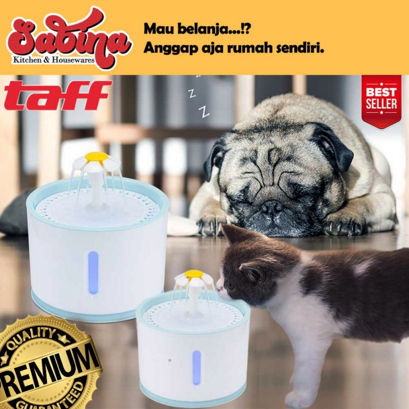 Detail Apakah Anjing Minum Air Nomer 52