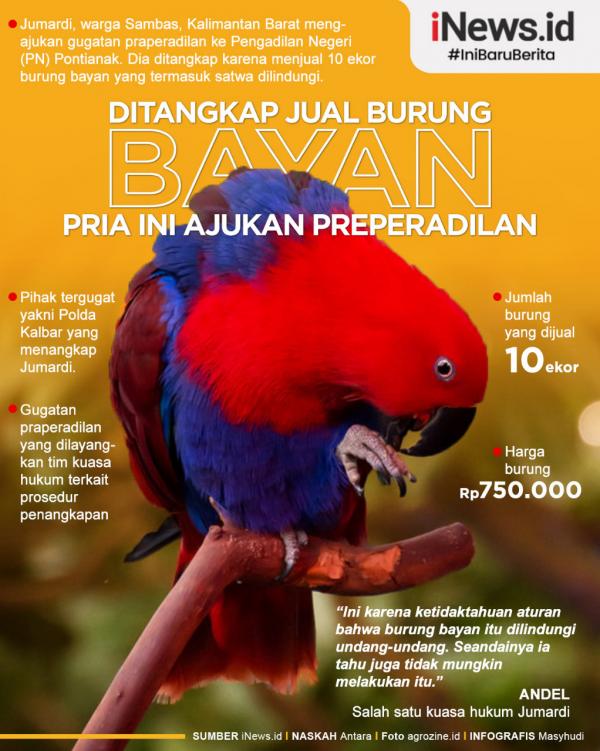 Detail Apakah Burung Macaw Dilindungi Nomer 40