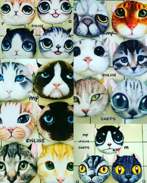 Detail Apakah Kucing Hewan Mamalia Nomer 20