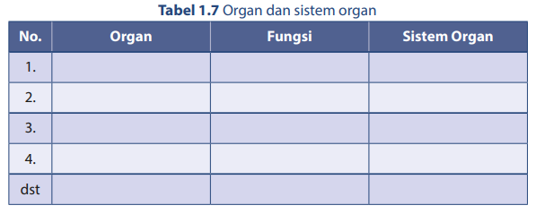 Detail Apakah Nama Sistem Organ Yang Tampak Pada Gambar Tersebut Nomer 34
