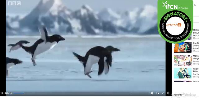 Detail Apakah Penguin Bisa Terbang Nomer 6