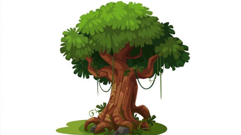 Detail Apakah Pohon Pengetahuan Itu Nomer 48