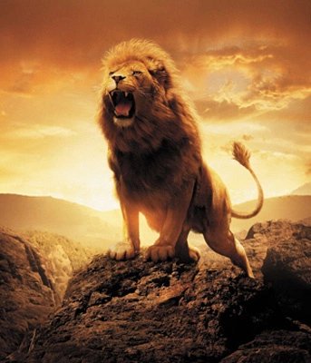 Detail Apakah Singa Adalah Raja Hutan Nomer 17
