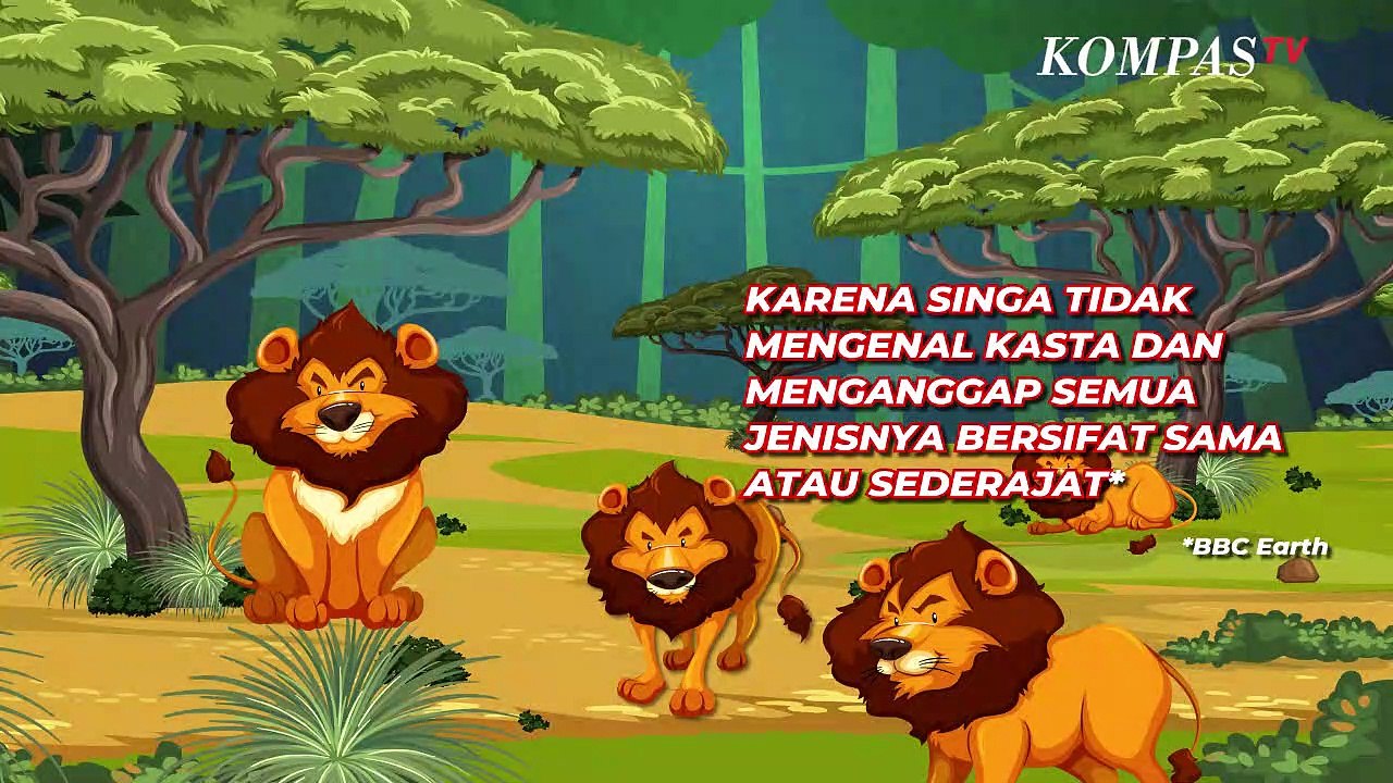 Detail Apakah Singa Adalah Raja Hutan Nomer 49