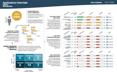 Detail Application Rationalization Template Nomer 15