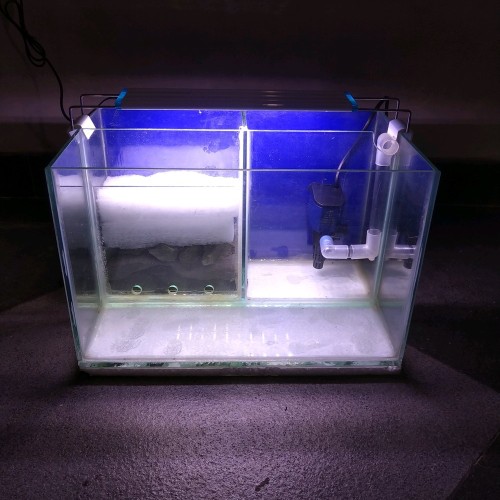 Detail Aquarium Untuk Louhan Nomer 42