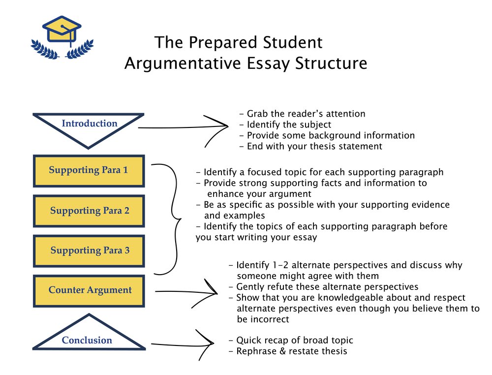 Detail Argumentative Paragraph Template Nomer 12