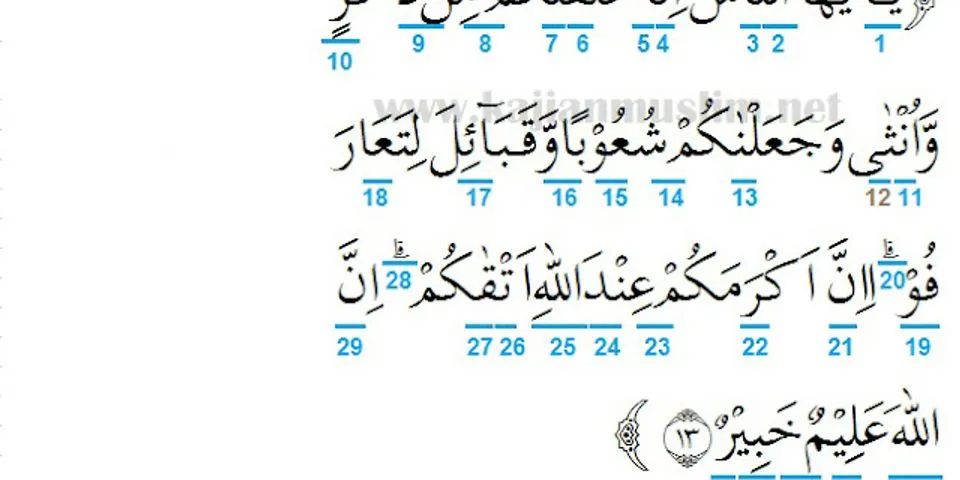 Detail Arti Dari Surat Al Hujurat Ayat 12 Nomer 36