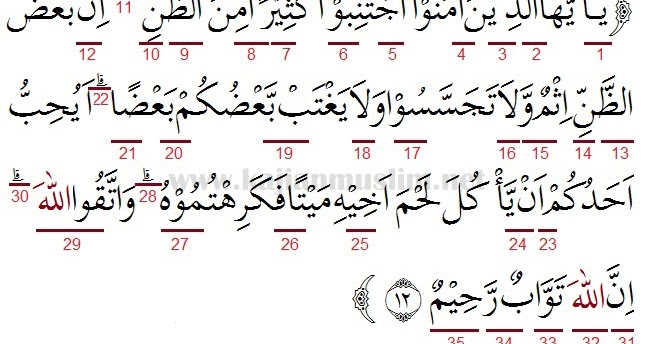 Detail Arti Dari Surat Al Hujurat Ayat 12 Nomer 8